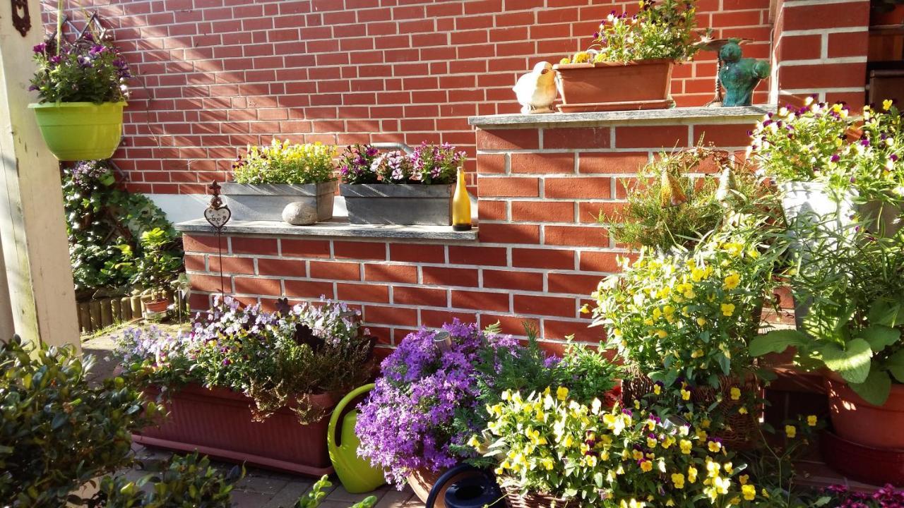 Romantikgarten Amelinghausen Exteriér fotografie